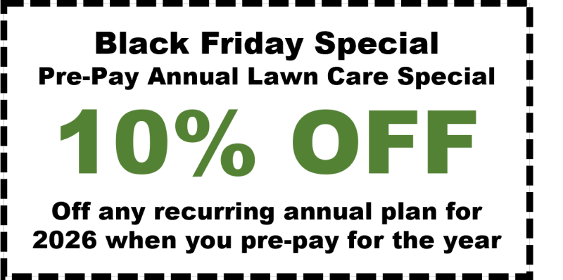 Black Friday Special