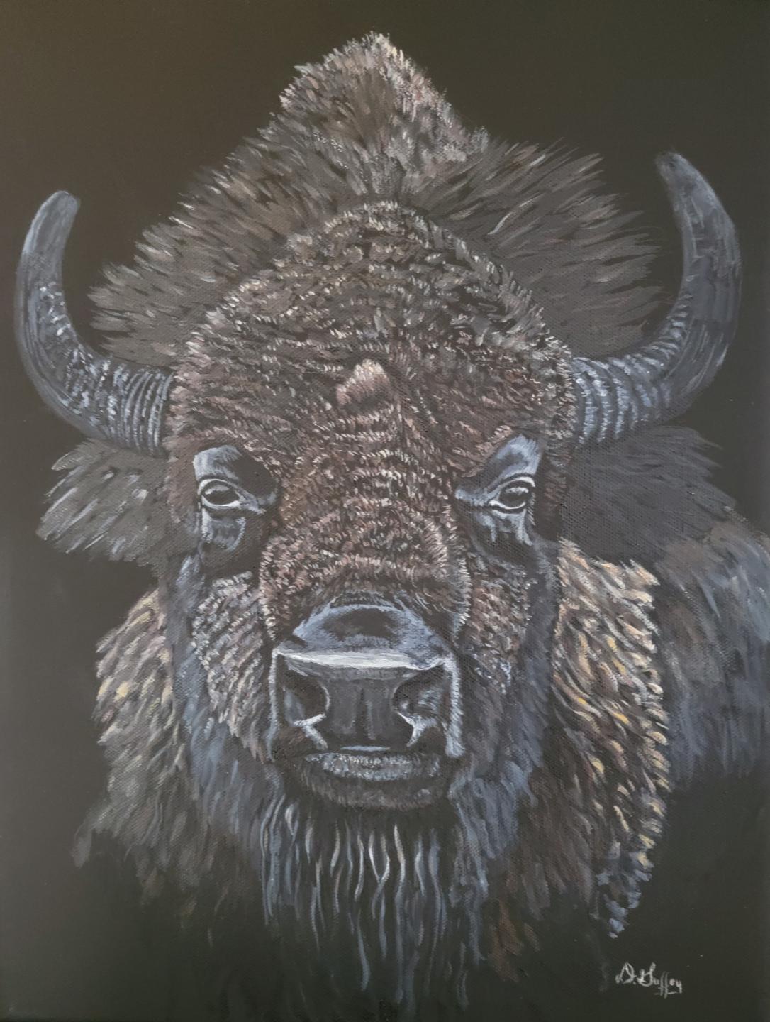 Buffalo in the Dark