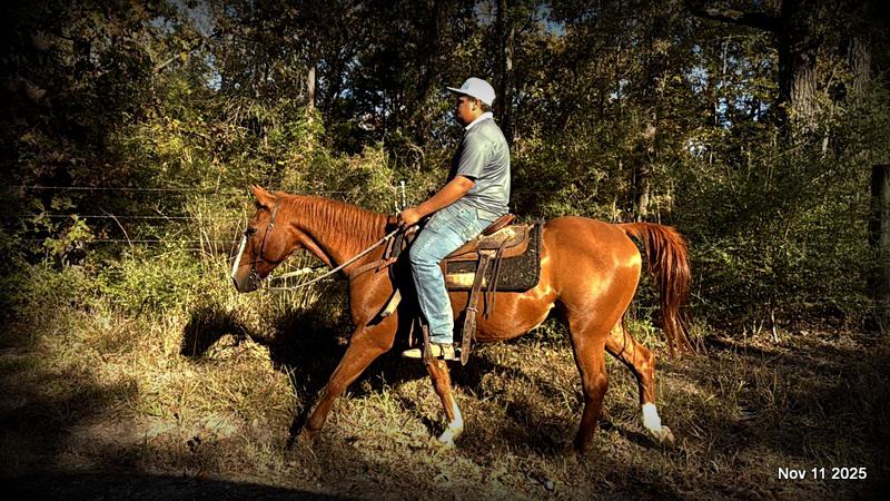 💚Ranger Safe for All Ages💚