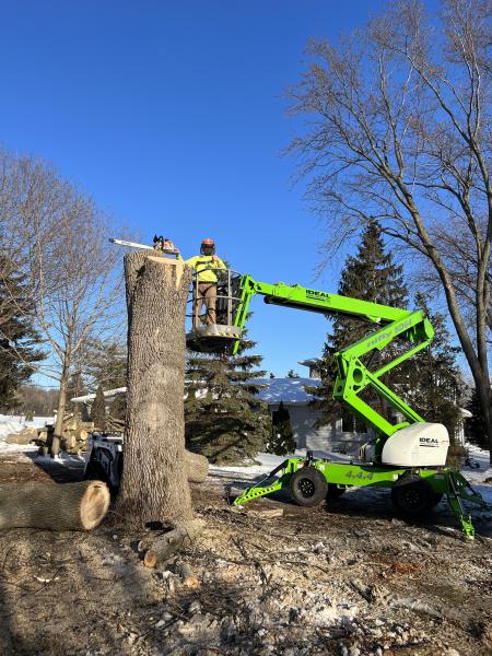 Tree Services In Oshkosh WI Meyer Tree Care LLC in Oshkosh WI Meyer