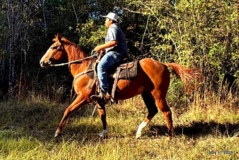 💚Ranger Safe for All Ages💚