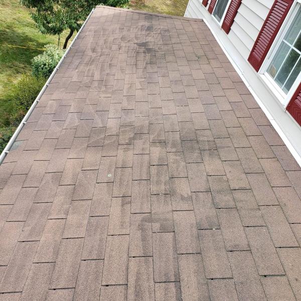 Roof Pressure Washing