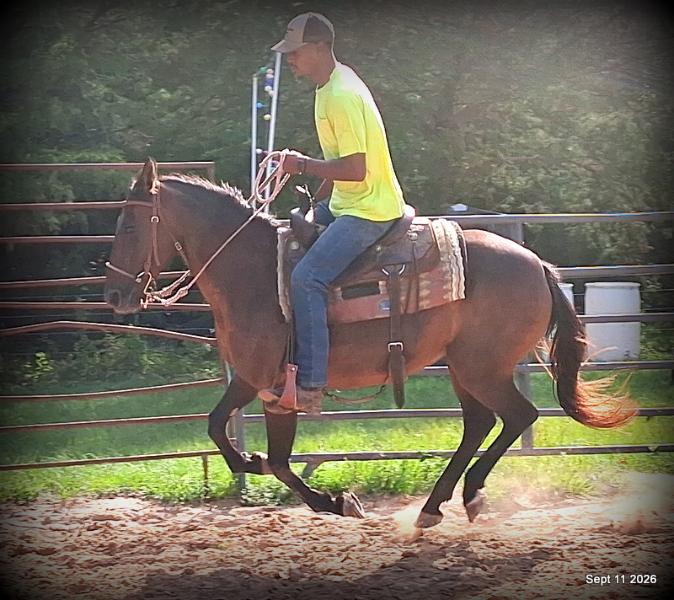 💚 Pop-tart Kid Safe & Family Safe Mare💚