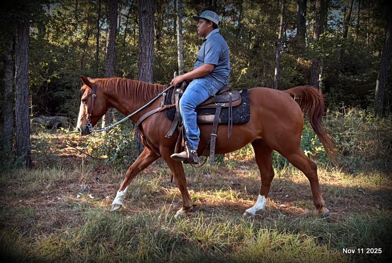 💚Ranger Safe for All Ages💚