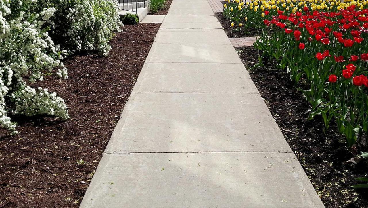 Driveway & Concrete Cleaning