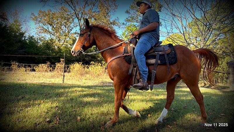 💚Ranger Safe for All Ages💚