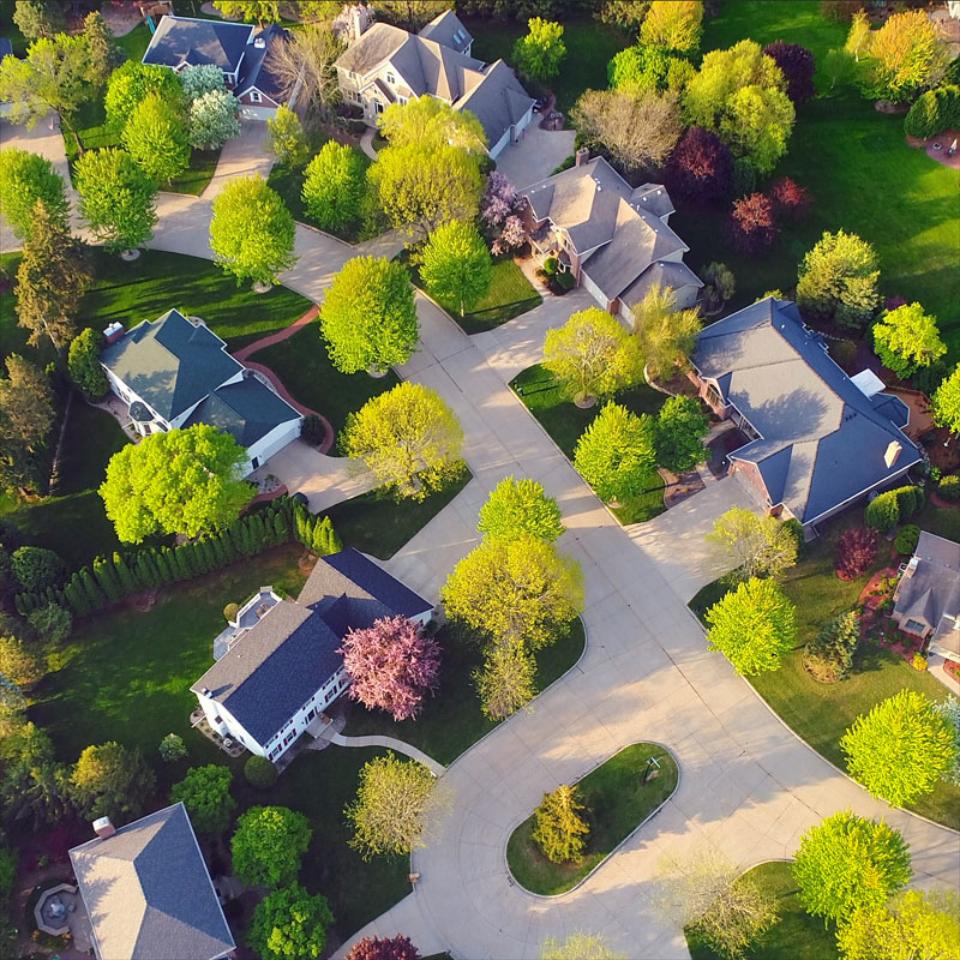 Baumgartner Trees & Landscaping