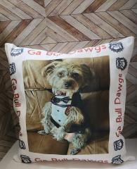 Throw pillow