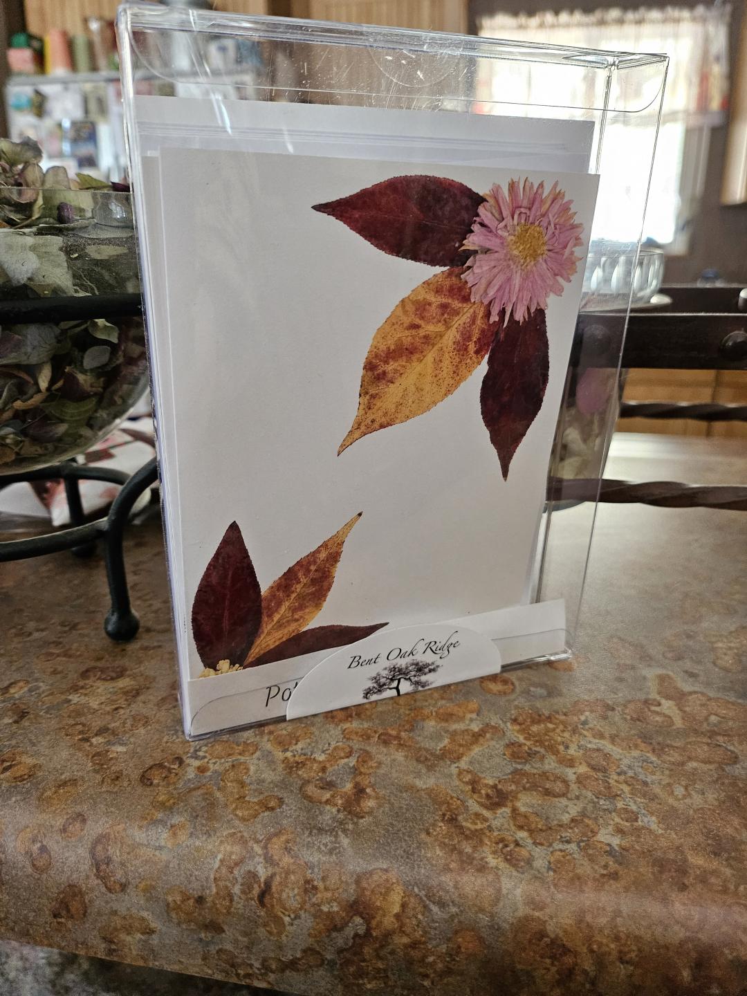 Potpourri Series Cards 10 pack print cards