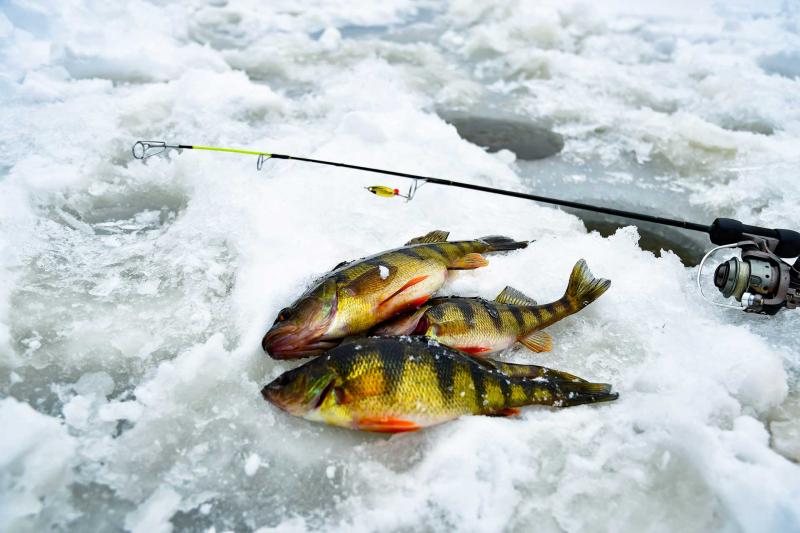 Guided Ice Fishing In Webster SD Hook'em Up Dakota's LLC in Webster