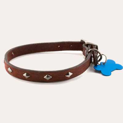 Leather Dog Collar