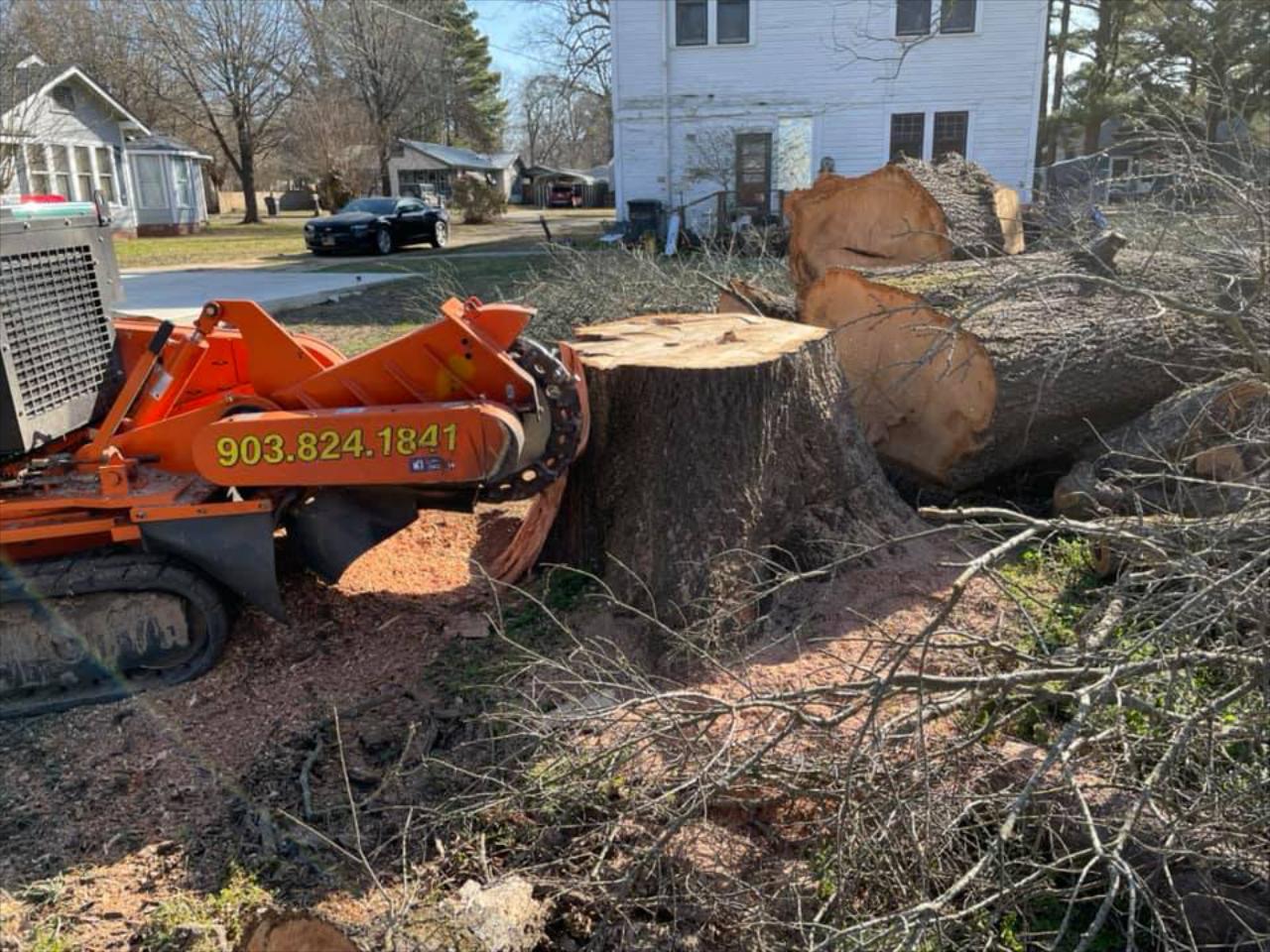 Stump Grinding In Texarkana, TX