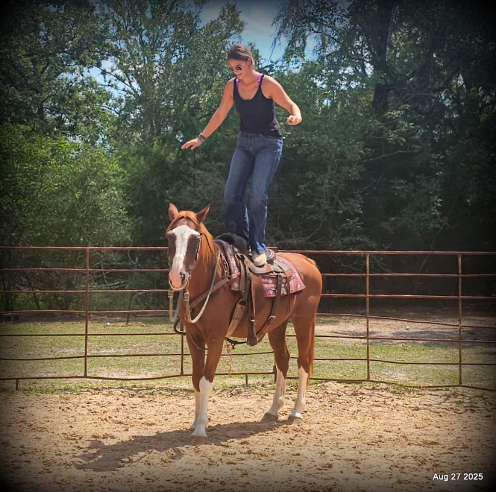 Cooper Amazing Beginners Horse