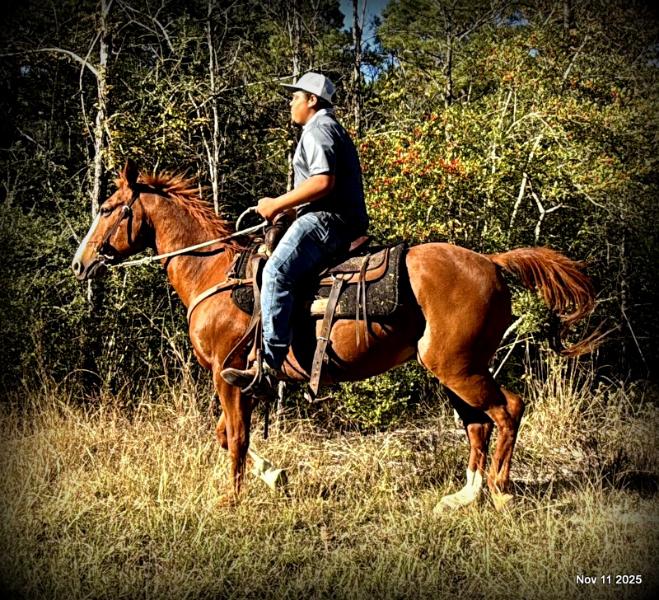 💚Ranger Safe for All Ages💚