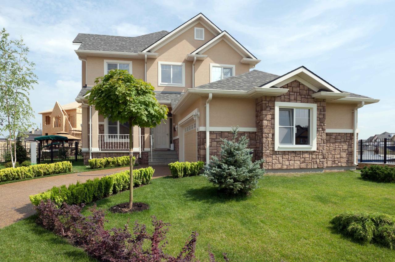TREE FERTILIZATION