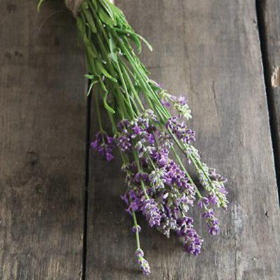 Lavender - Bee-My-Honey ™