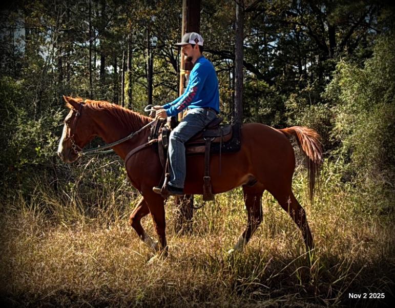 💚Ranger Safe for All Ages💚