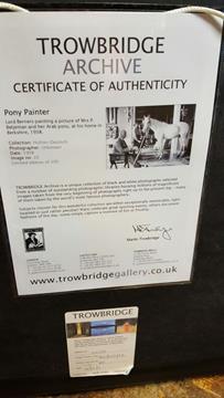 TROWBRIDGE PONY PAINTER RETIRED LTD EDITION 123/29