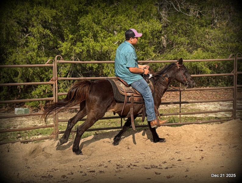 🩷❤️Pixie🩷❤️