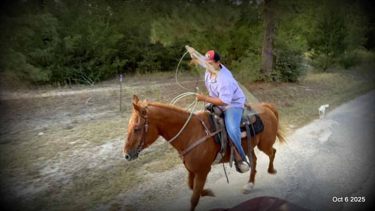 Biggie – Ranch-Tested, Family-Safe, and Ready to Ride!