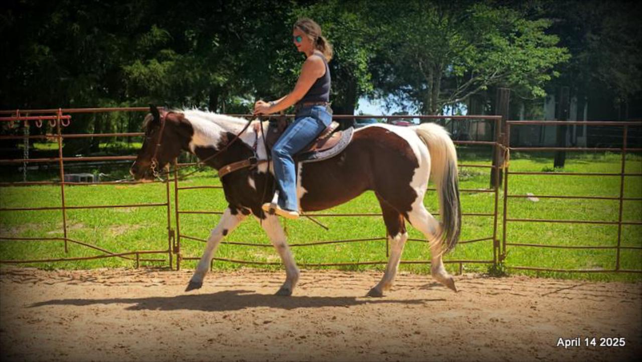 Montana – The Picture-Perfect Partner with All the Right Moves