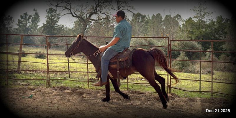 🩷❤️Pixie🩷❤️