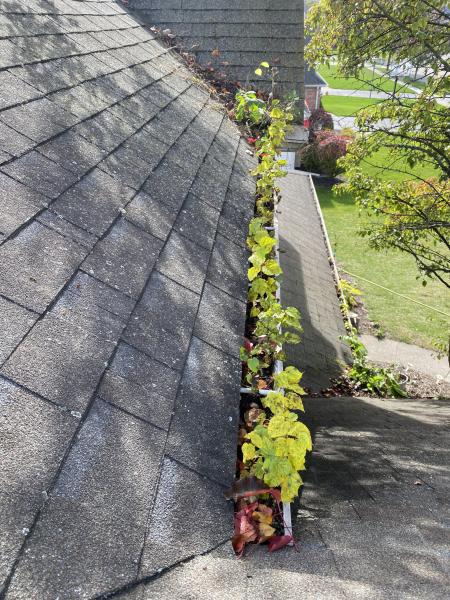Request A Fast &amp; Free Gutter Cleaning Quote