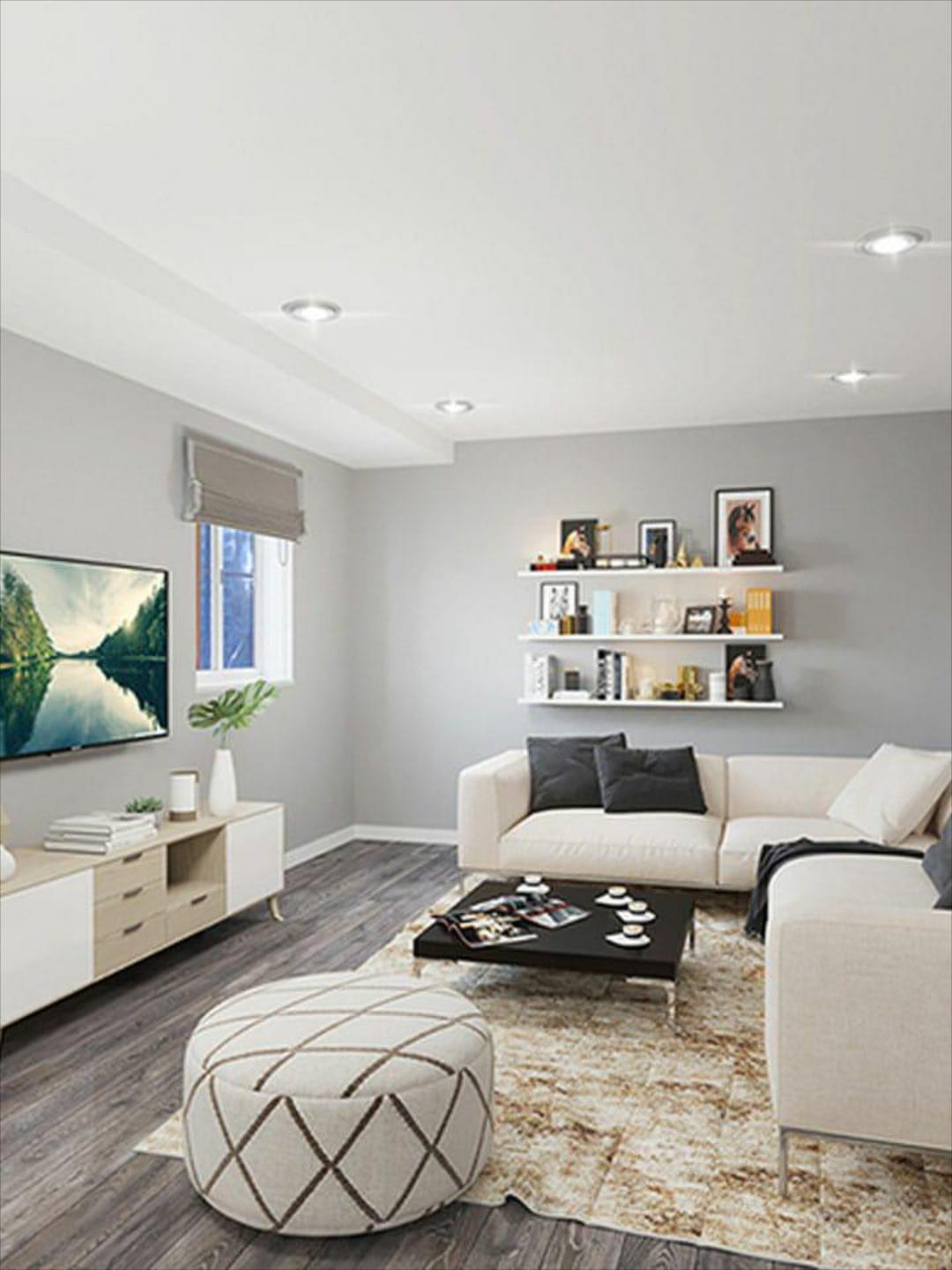 Staging / Virtual Consultation