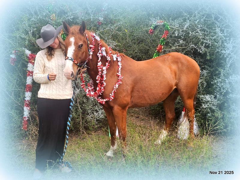 💚Ranger Safe for All Ages💚