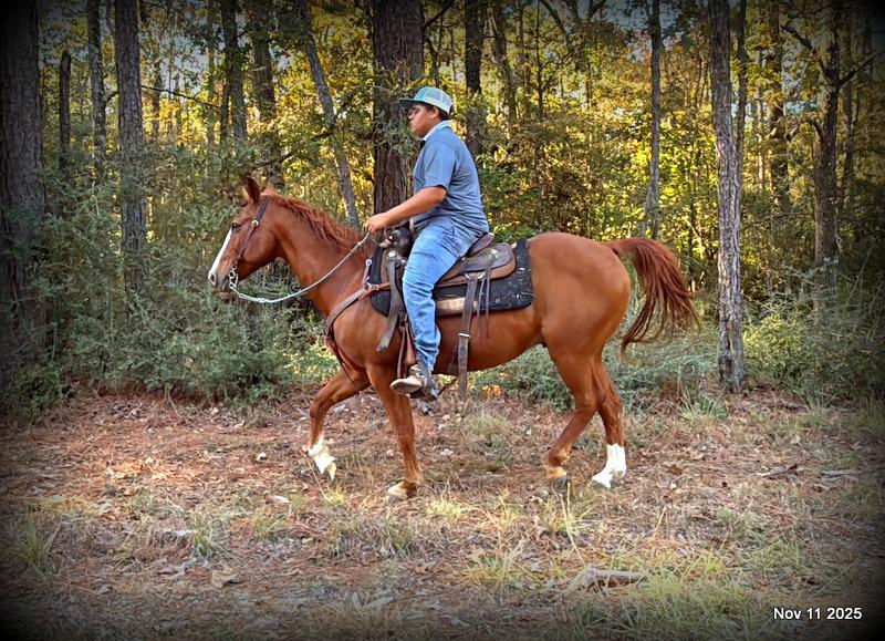 💚Ranger Safe for All Ages💚