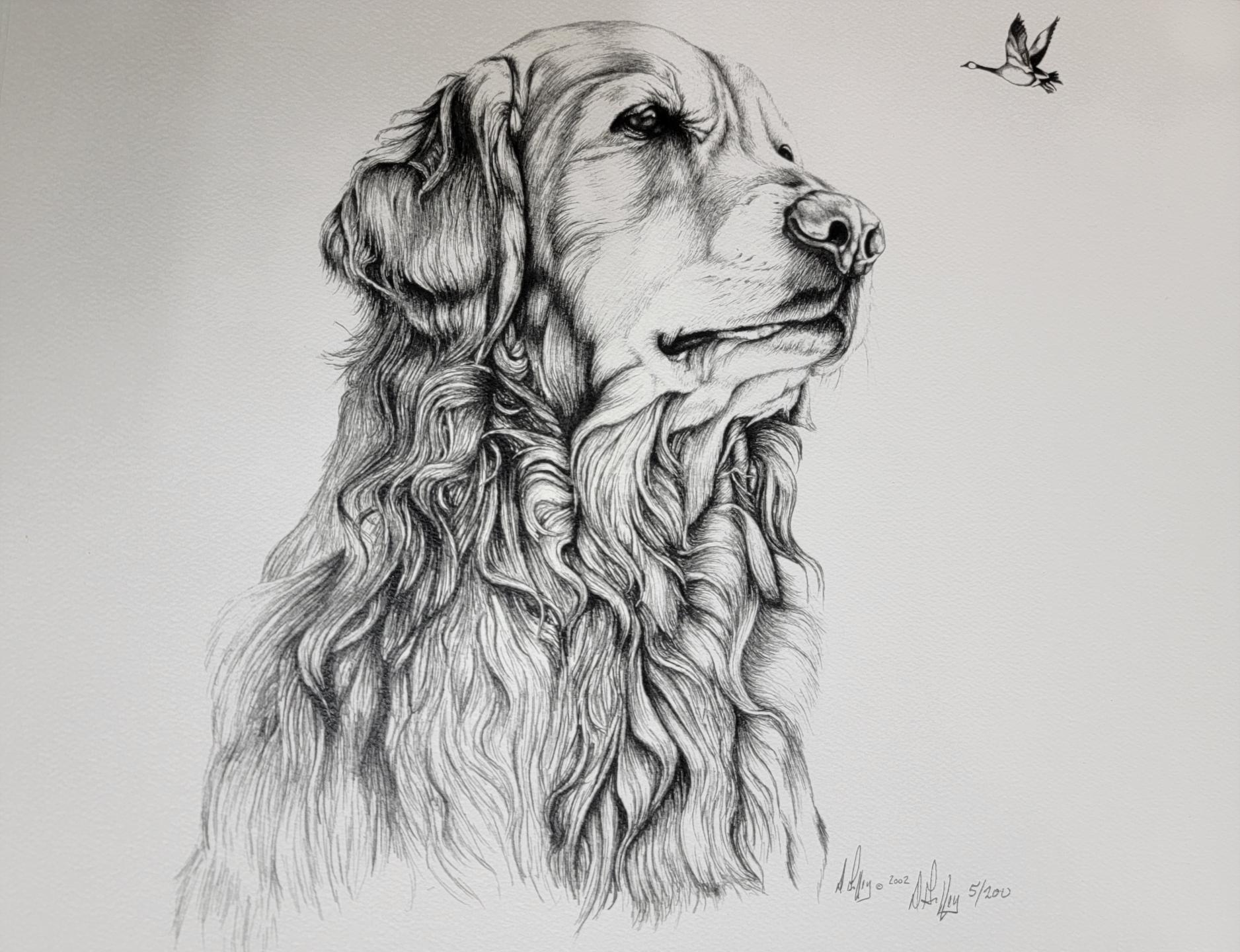 Retriever