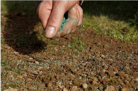 
Aerate Your Lawn: