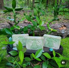 Willow Wisp Tallow Soap