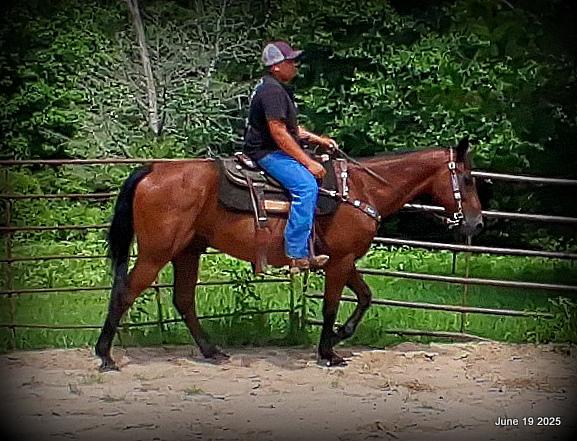 Sammy – A Comeback Story with a Heart of Gold