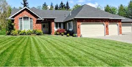 
Professional Lawn Care Services: 