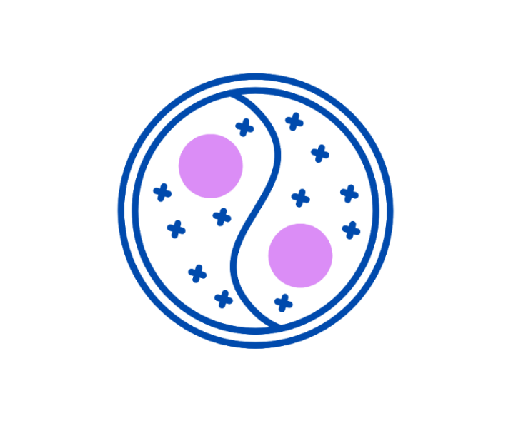 Why Both Matter &mdash; And How Often You Need Each