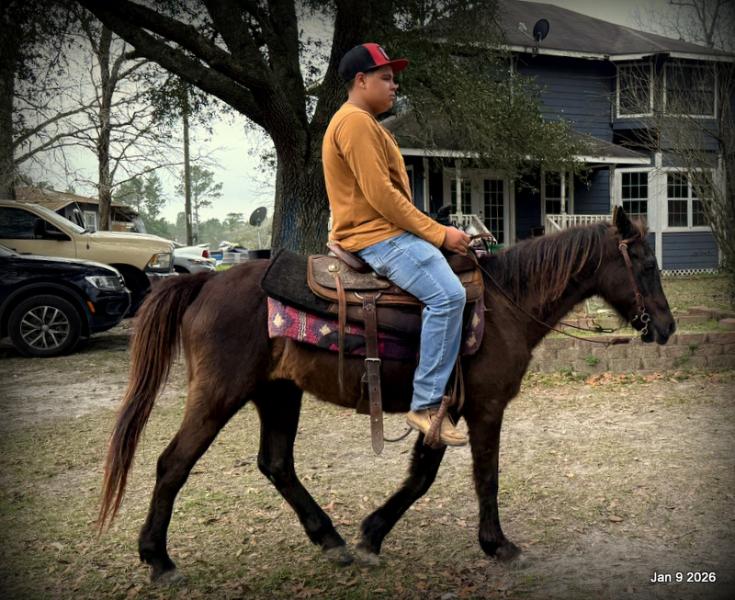 🩷❤️Pixie🩷❤️