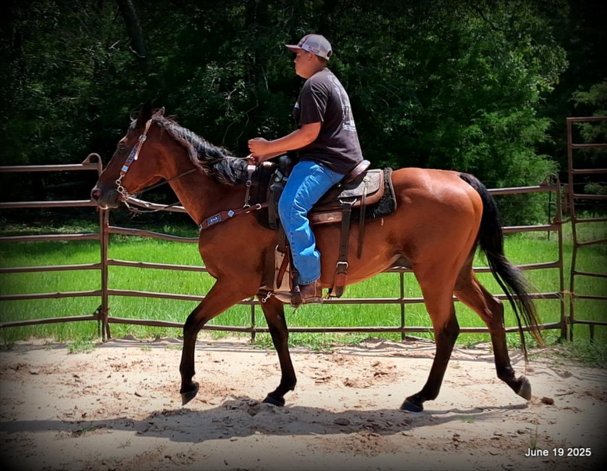 Sammy – A Comeback Story with a Heart of Gold