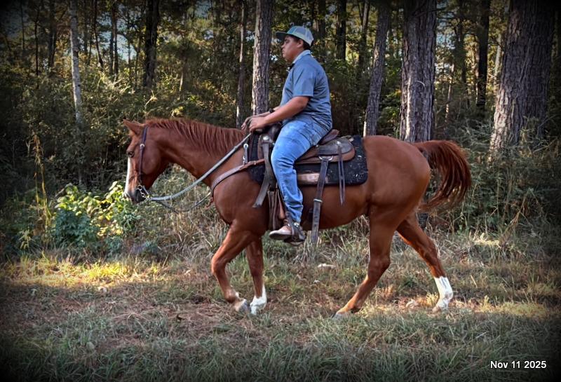 💚Ranger Safe for All Ages💚