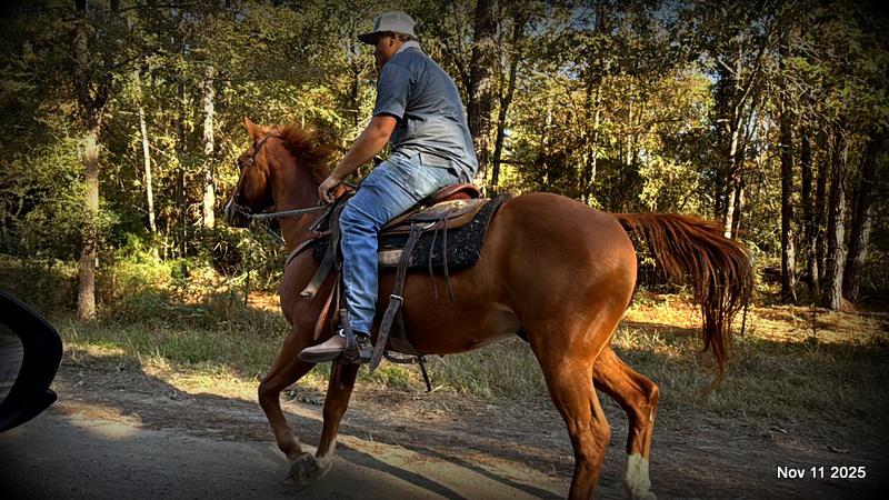 💚Ranger Safe for All Ages💚