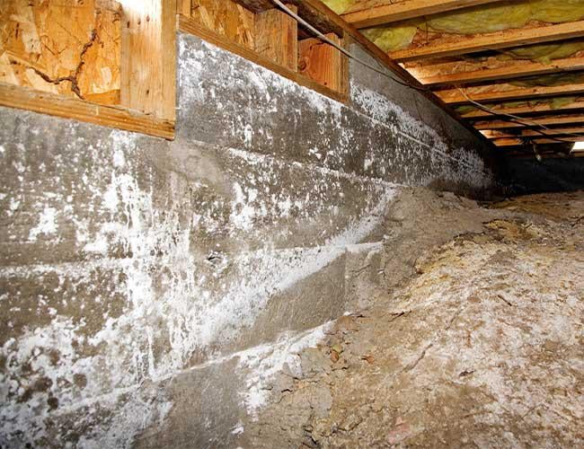 These commonly include: