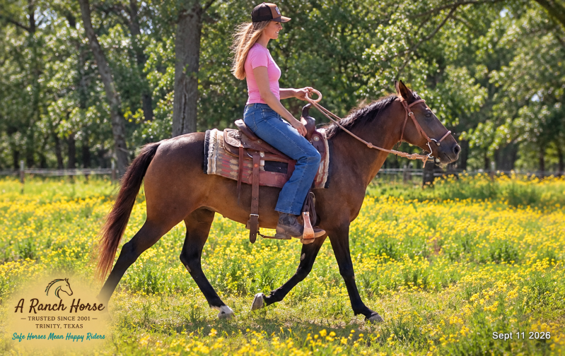 💚 Pop-tart Kid Safe & Family Safe Mare💚