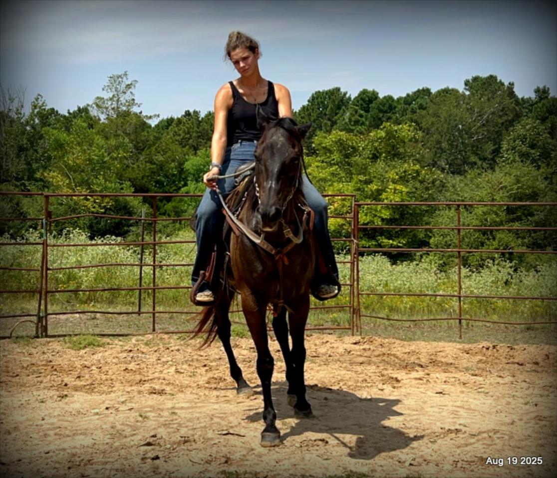 Shadow – The Sweetheart Everyone’s Looking For