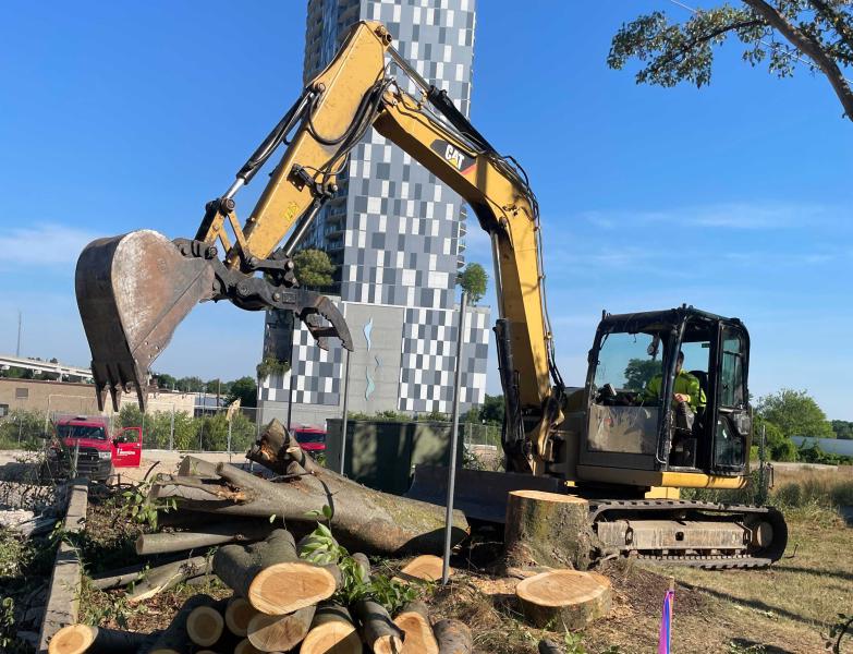 Tree Pruning