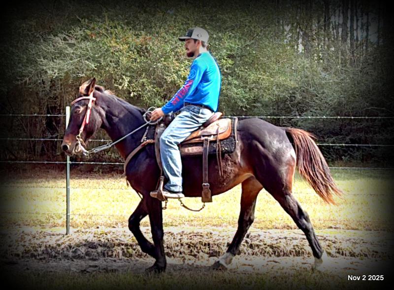 🧡Grace🧡 💔 ✨ The Underdog Who Deserves a Christmas Miracle ✨ 💔