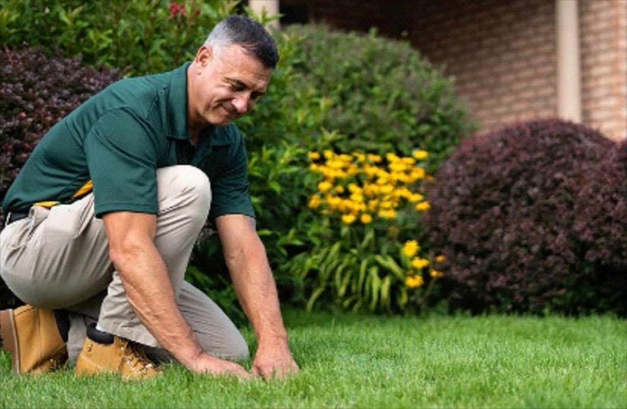 The Spring Lawn Care Guide for Metairie 