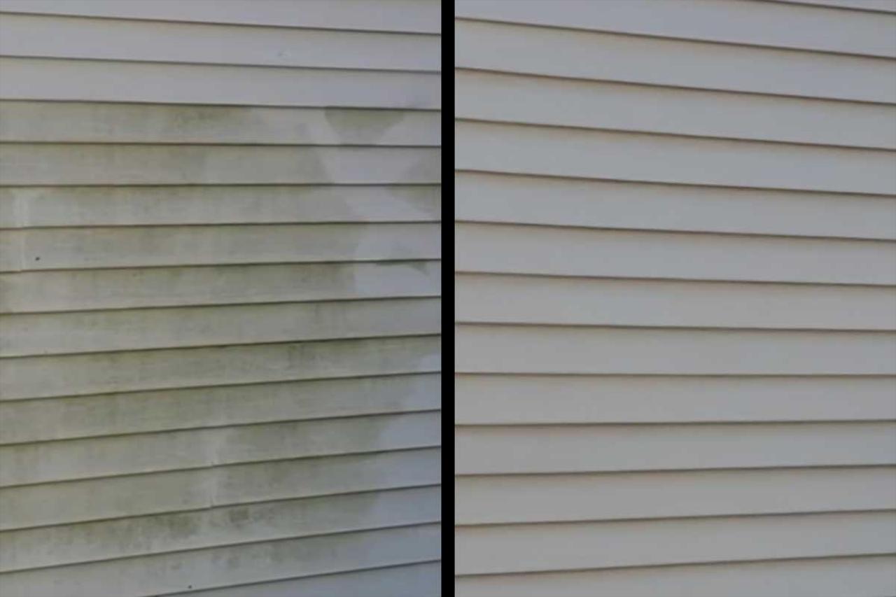 Siding/Exterior of House