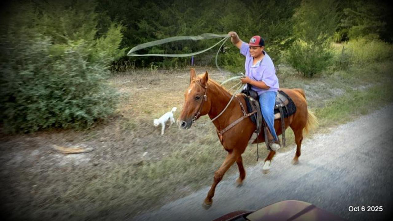 Biggie – Ranch-Tested, Family-Safe, and Ready to Ride!