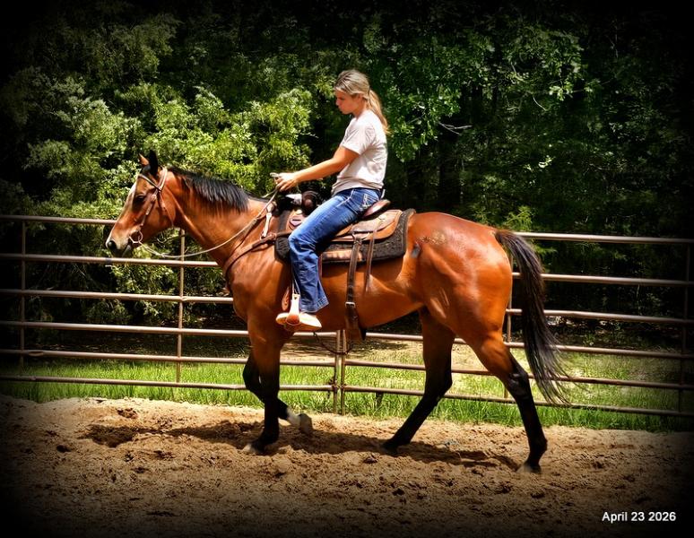 Darylslitlediablo (Diablo)