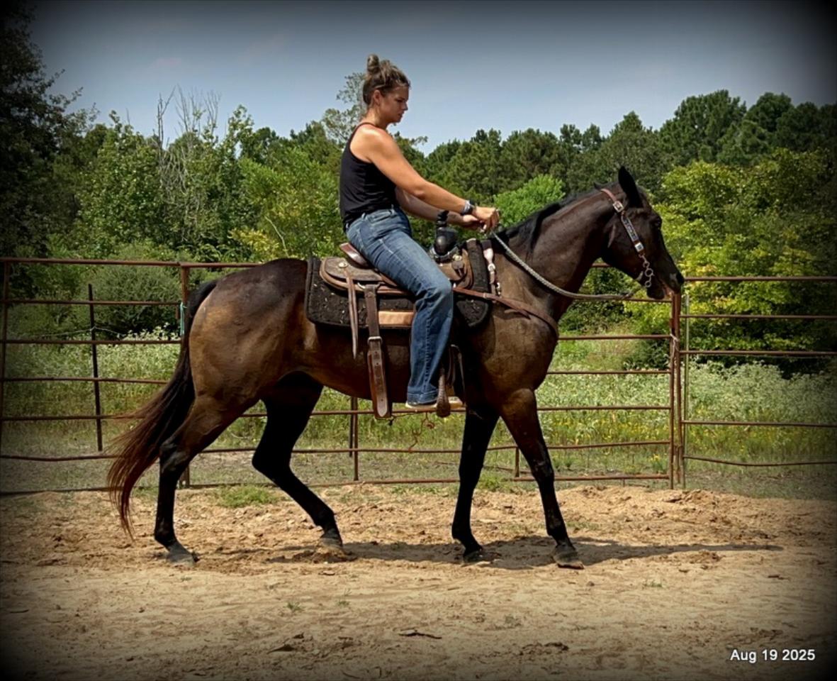 Shadow – The Sweetheart Everyone’s Looking For